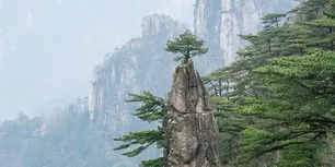 P1020522