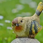 urangutang