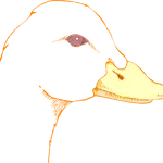 hondekop