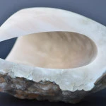 Oester