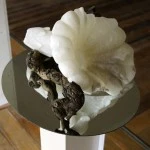 Expositie