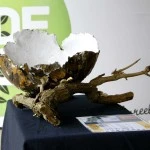 Expositie