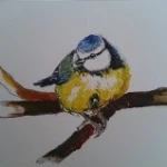 koolmeesje[1]