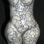 torso